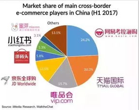 高含金量的跨境电商研究报告